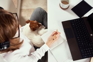 HP Elite Dragonfly G2 jest wyjątkowo mobilnym laptopem cechującym się estetycznym wzornictwem i wieloma zaawansowanymi funkcjami zabezpieczeń