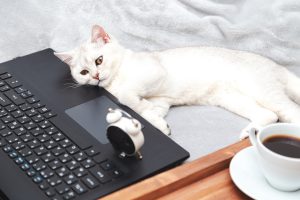Aktualnie jest sporo osób, które wybierają Lenovo ThinkPad L13 Gen 2